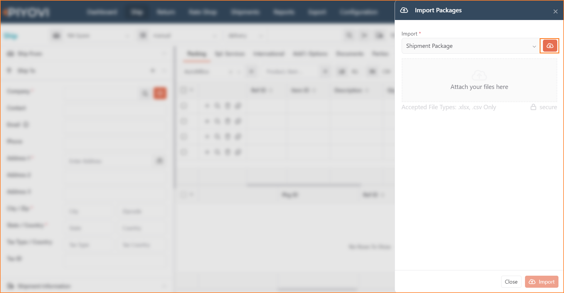 Import Packages panel with Shipment Package selected and the sample file download icon highlighted